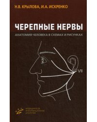 Черепные нервы. Анатомия человека в схемах и рисунках. Атлас-пособие. Гриф УМО по медицинскому образованию
