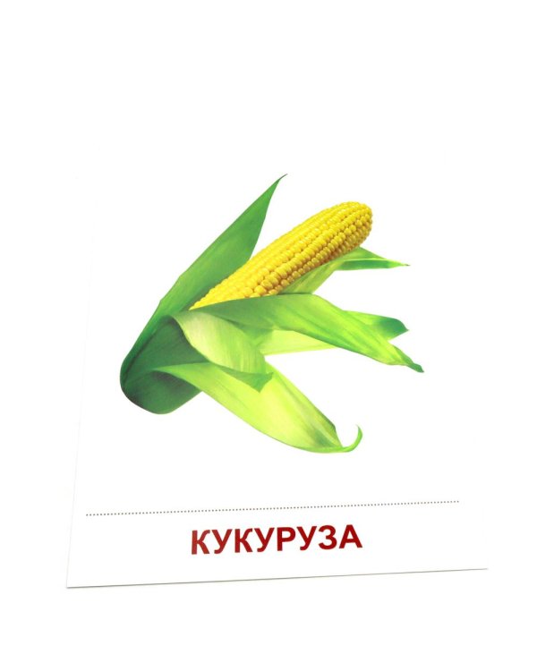 Овощи. 16 демонстрационных картинок с текстом