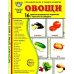 Овощи. 16 демонстрационных картинок с текстом