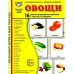 Овощи. 16 демонстрационных картинок с текстом