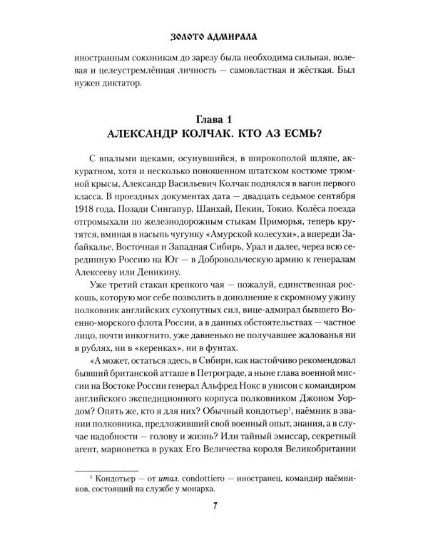 Золото адмирала: роман