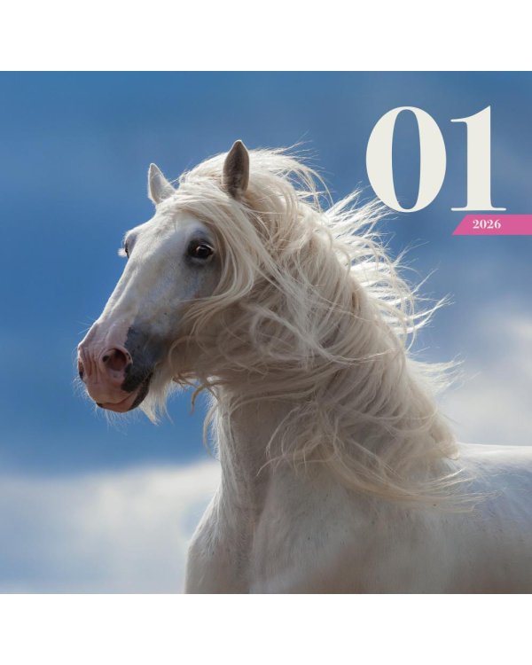 Символ года "Огненная лошадь". Настенный календарь на 2026 год