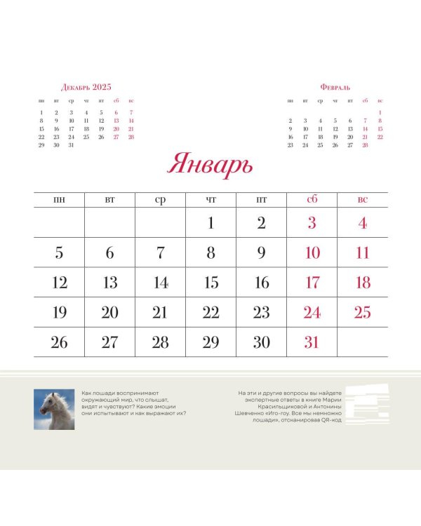 Символ года "Огненная лошадь". Настенный календарь на 2026 год