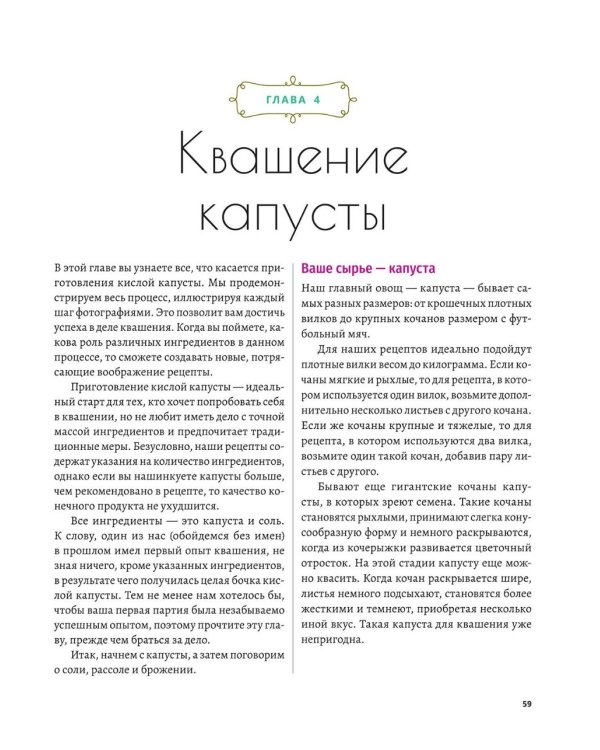 Натуральная ферментация: Оригинальные авторские рецепты квашения 64 овощей и фруктов