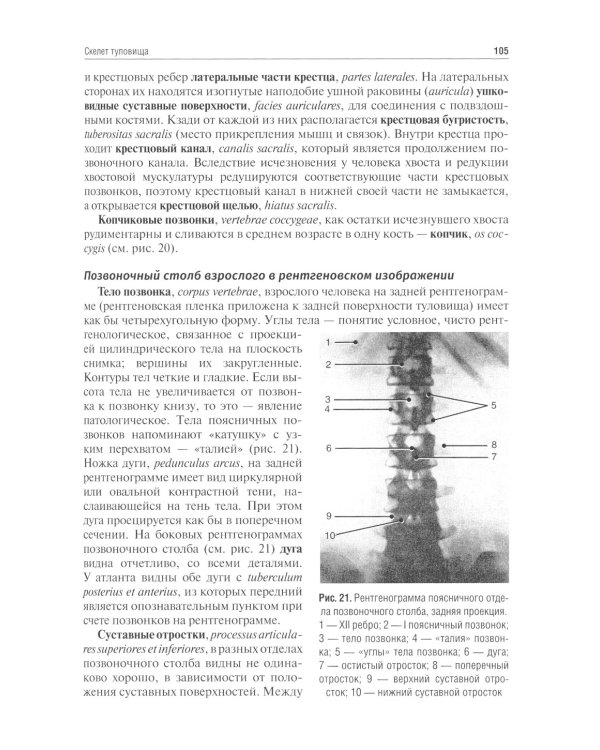 Анатомия человека: Учебник. 13-е изд., испр. и доп