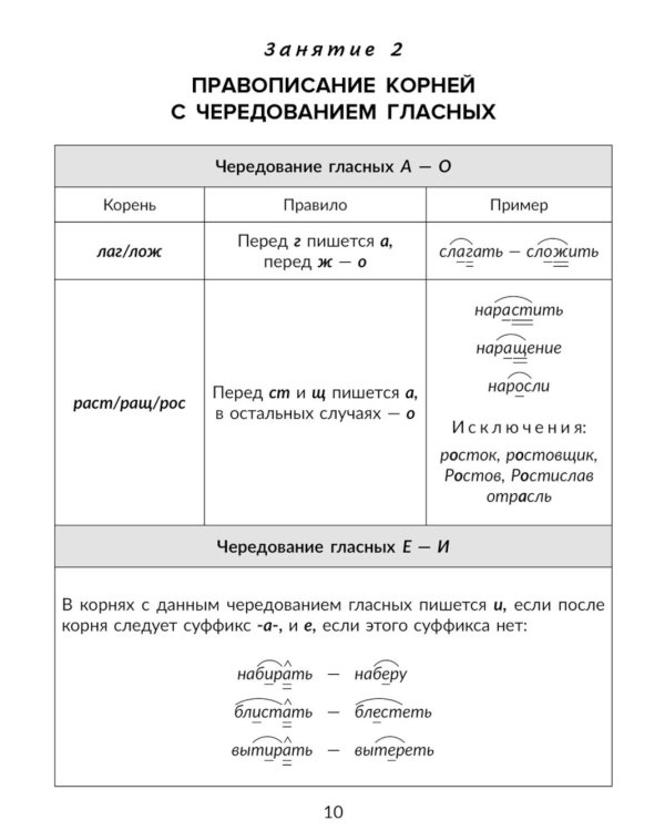 Правила и объяснения, словарные и провероч.диктанты, нейропсихологические упражнения для повышения успеваемости: русский язык. 5 кл