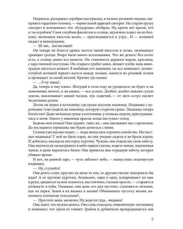 Солнце Мертвых