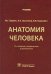 Анатомия человека: Учебник. 13-е изд., испр. и доп