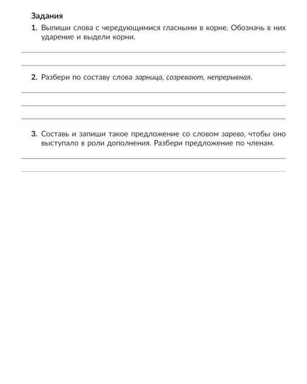 Правила и объяснения, словарные и провероч.диктанты, нейропсихологические упражнения для повышения успеваемости: русский язык. 6 кл