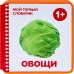 Мой первый словарик в картинках Овощи