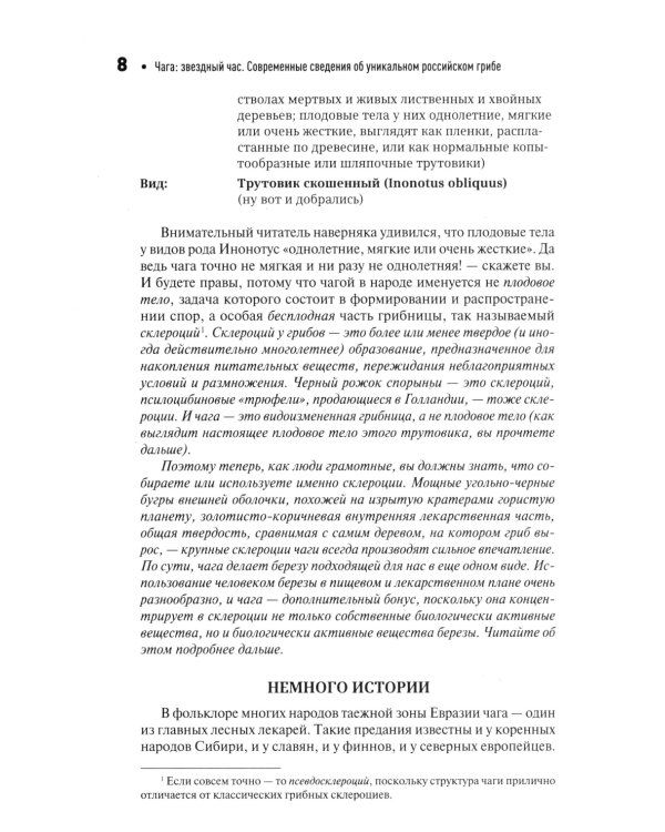 Чага: звездный час. Современные сведения об уникальном российском грибе