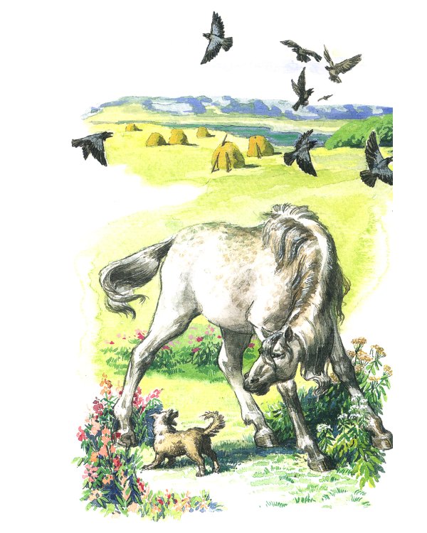 Про Мальку: из "Рассказов о всякой живности"