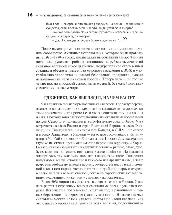 Чага: звездный час. Современные сведения об уникальном российском грибе