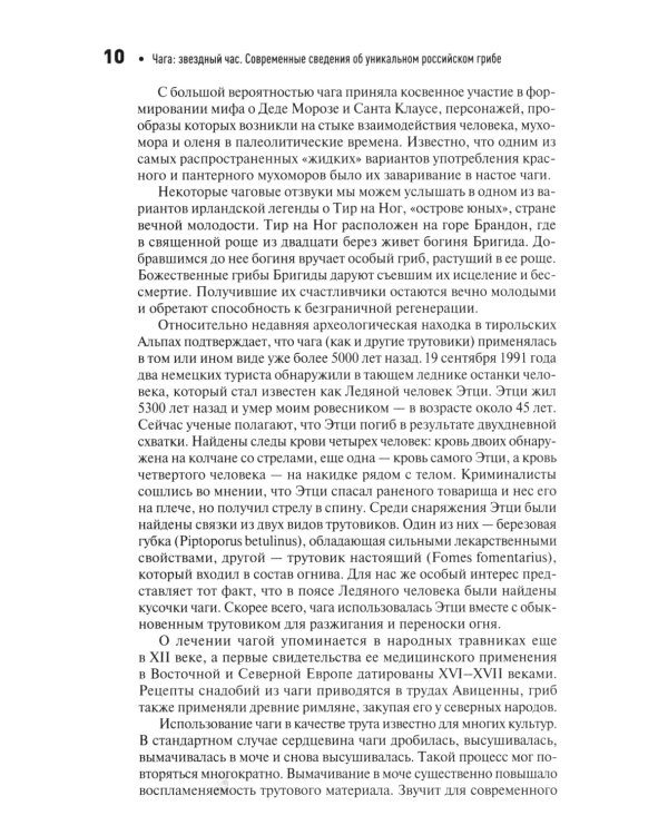 Чага: звездный час. Современные сведения об уникальном российском грибе