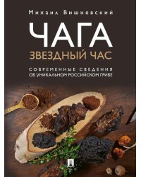 Чага: звездный час. Современные сведения об уникальном российском грибе