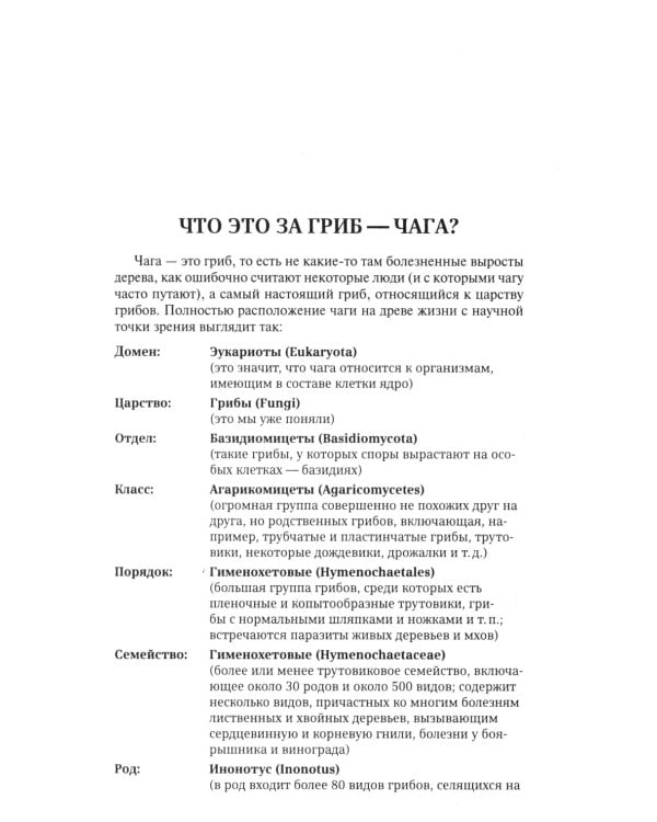Чага: звездный час. Современные сведения об уникальном российском грибе