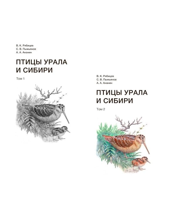 Дополнительное изображение книги «Птицы Урала и Сибири: справочник-определитель. В 2 т.»
