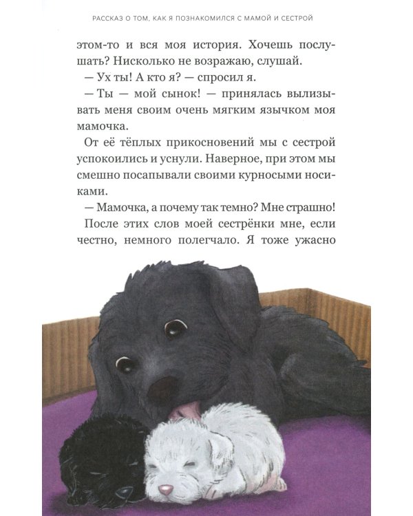 Записки лохматого щенка
