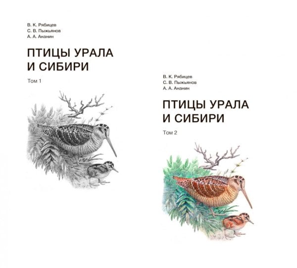 Обложка книги «Птицы Урала и Сибири: справочник-определитель. В 2 т.» — Ананин Александр Афанасьевич;Пыжьянов Сергей Владимирович;Рябицев Вадим Константинович, ISBN 9785885406161