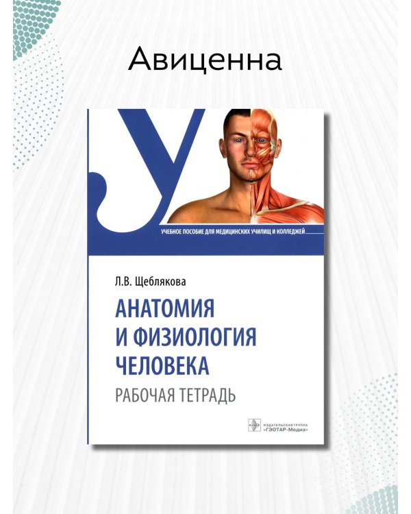 Анатомия и физиология человека. Рабочая тетрадь. Учебное пособие
