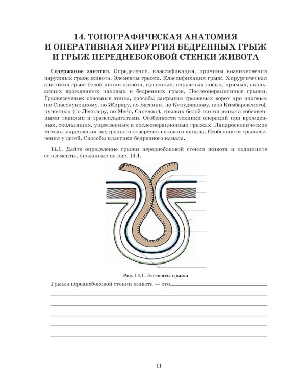Топографическая анатомия и оперативная хирургия. Рабочая тетрадь. В 2 ч. Ч. 2 (обл.)