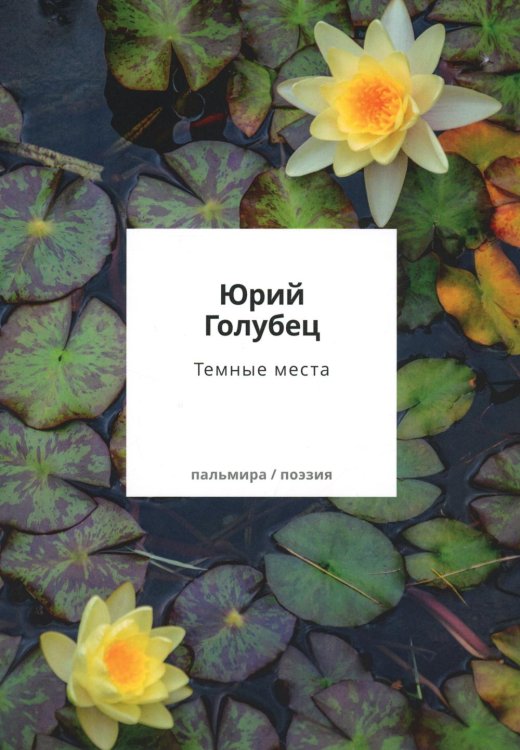 Пальмира - поэзия Темные места. Вторая книга песен