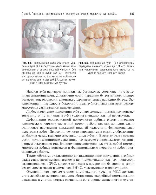 Гнатология: Учебник
