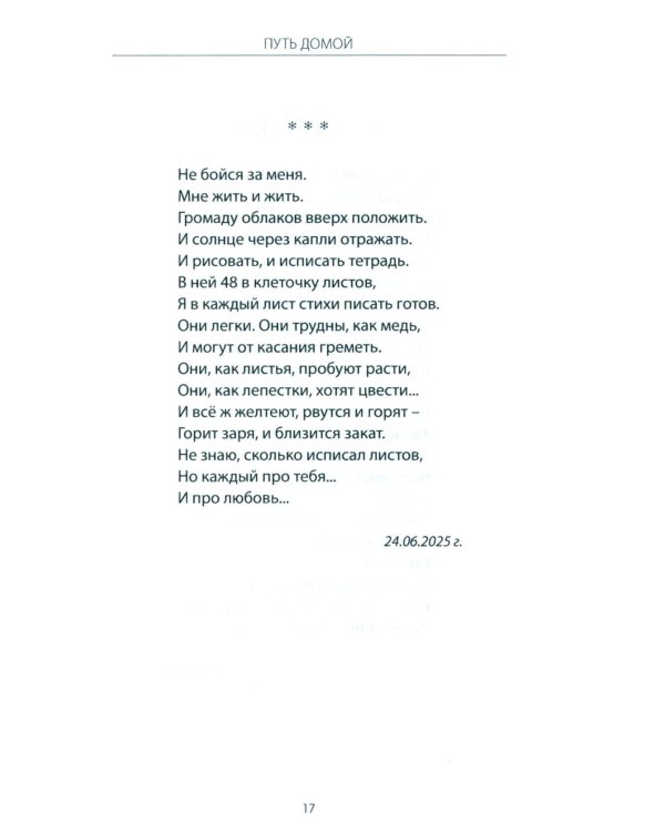 Дополнительное изображение книги «Путь домой. Молитва доблести русской»