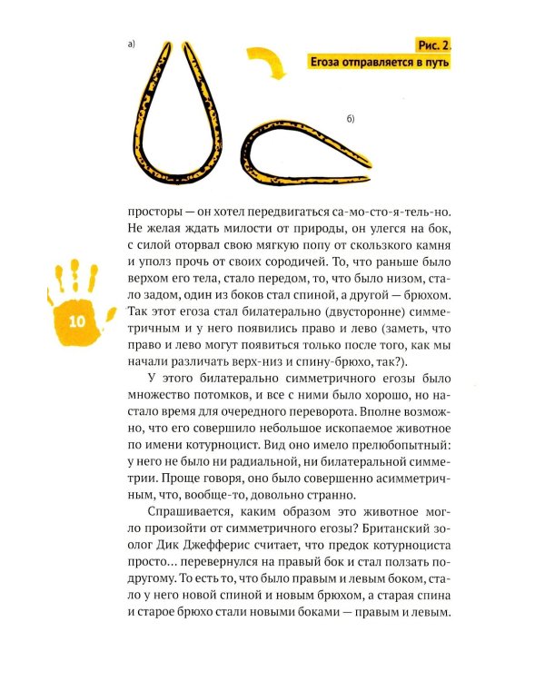 Левая книга: приключения в левостороннем мире
