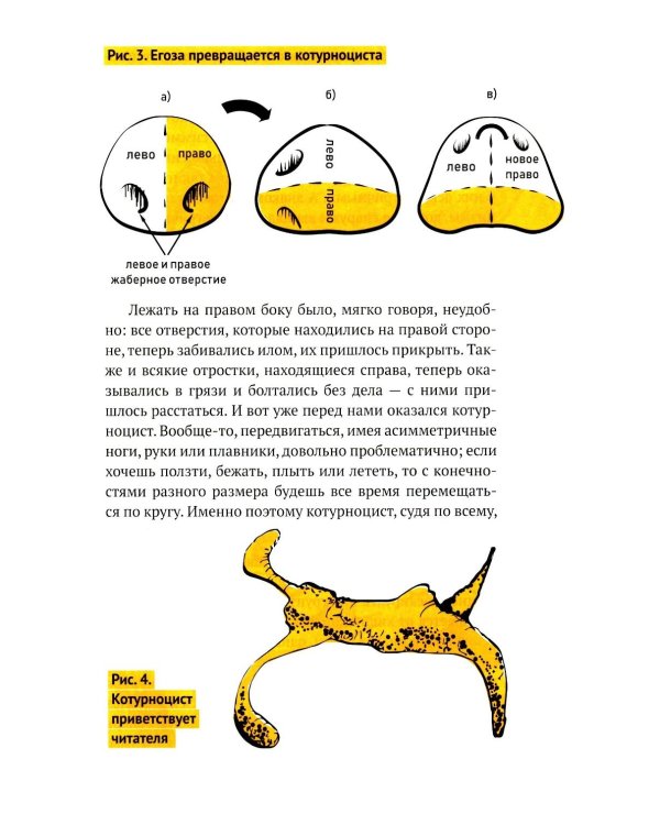 Левая книга: приключения в левостороннем мире