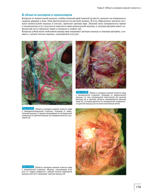 Атлас анатомии зубочелюстной системы для имплантологов. 3-е изд