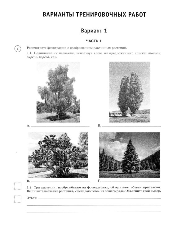 Русский язык. Математика. История. Биология. Физика. География. Английский язык. Большой сборник тренир.вариантов пров.работ для подготовки к ВПР. 7 к