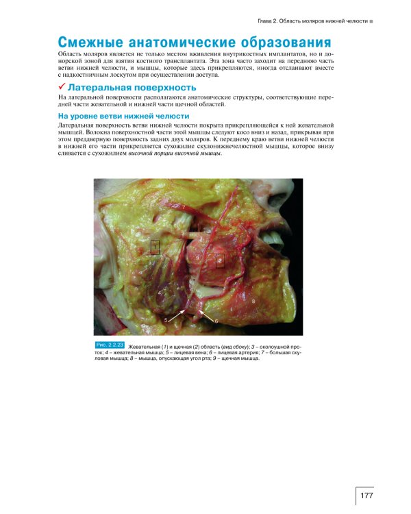 Атлас анатомии зубочелюстной системы для имплантологов. 3-е изд