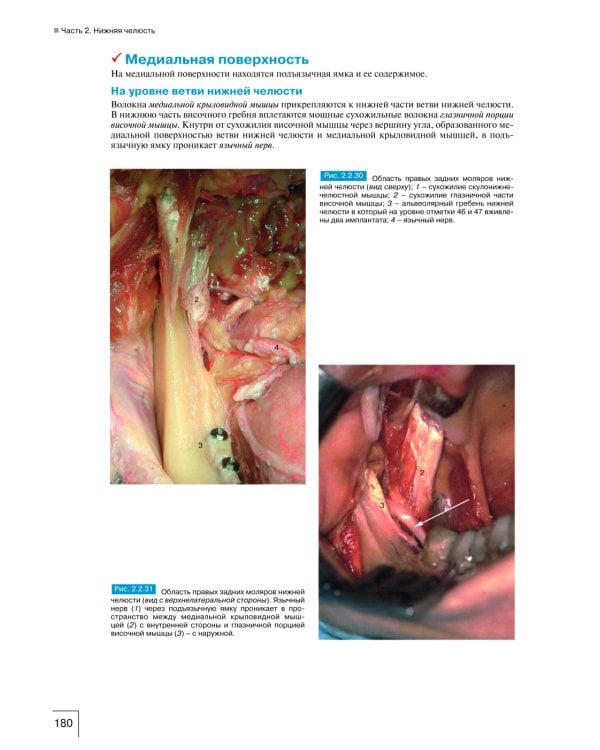 Атлас анатомии зубочелюстной системы для имплантологов. 3-е изд