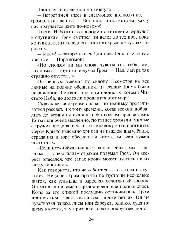 Сверкающая Звезда