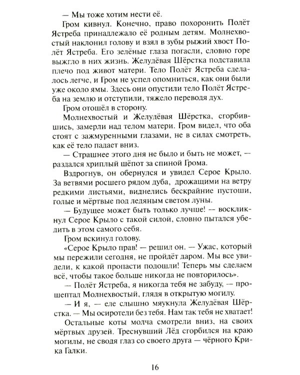 Сверкающая Звезда