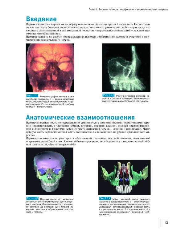 Атлас анатомии зубочелюстной системы для имплантологов. 3-е изд