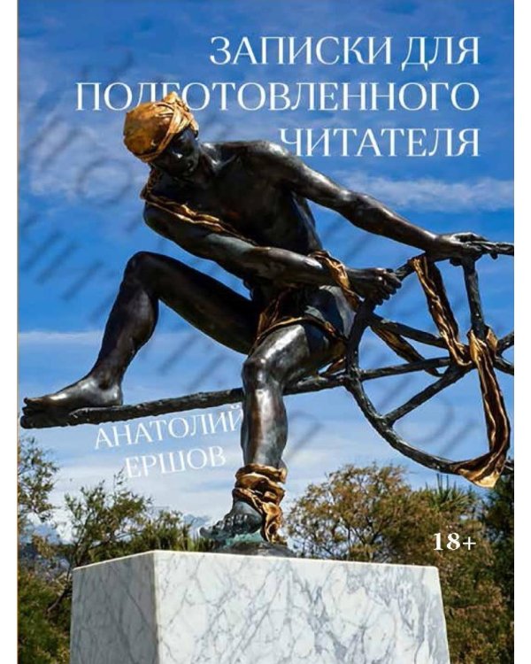 Записки для подготовленного читателя