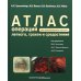 Атлас операций при злокачественных опухолях легкого, трахеи и средостения