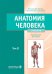 Анатомия человека: Учебник: в 2 т. Т. 2