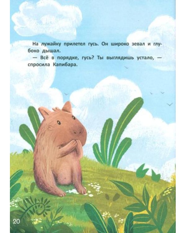 Зачем Капибара звезды украла?