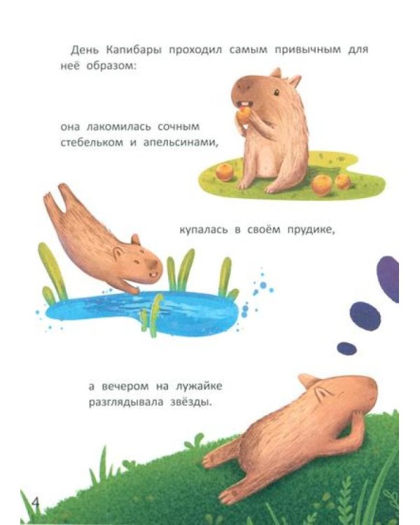 Зачем Капибара звезды украла?