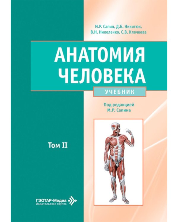 Анатомия человека: Учебник: в 2 т. Т. 2
