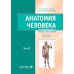 Анатомия человека: Учебник: в 2 т. Т. 2