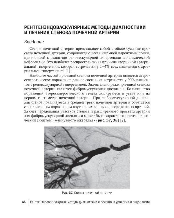 Рентгенэндоваскулярные методы диагностики и лечения в урологии и андрологии: руководство для врачей