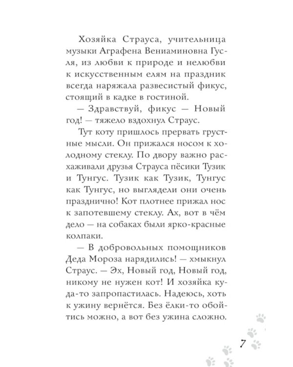 Новогоднее расследование кота Страуса