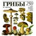 Грибы. 250 видов съедобных, ядовитых и лечебных грибов Грибы. 250 видов съедобных, ядовитых и лечебных грибов