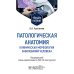 Патологическая анатомия. Клиническая морфология заболеваний человека: Учебное пособие