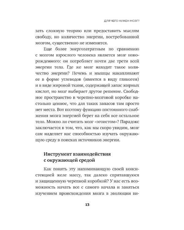 Достижения мозга. Как этот орган стал самой сложной и влиятельной частью тела человека