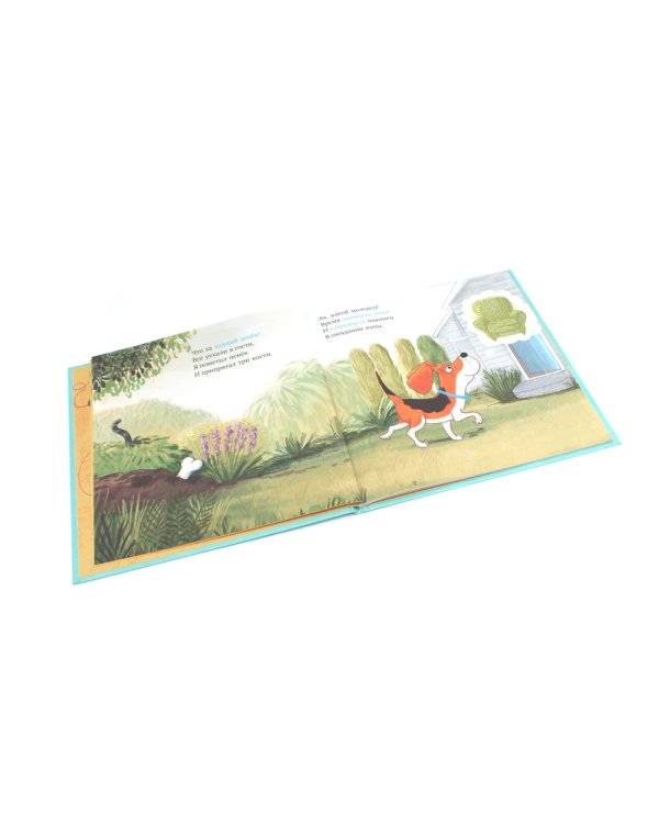 Слишком много котов